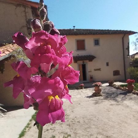 Casa Vacanze Podere Ugolini Ronta Екстер'єр фото