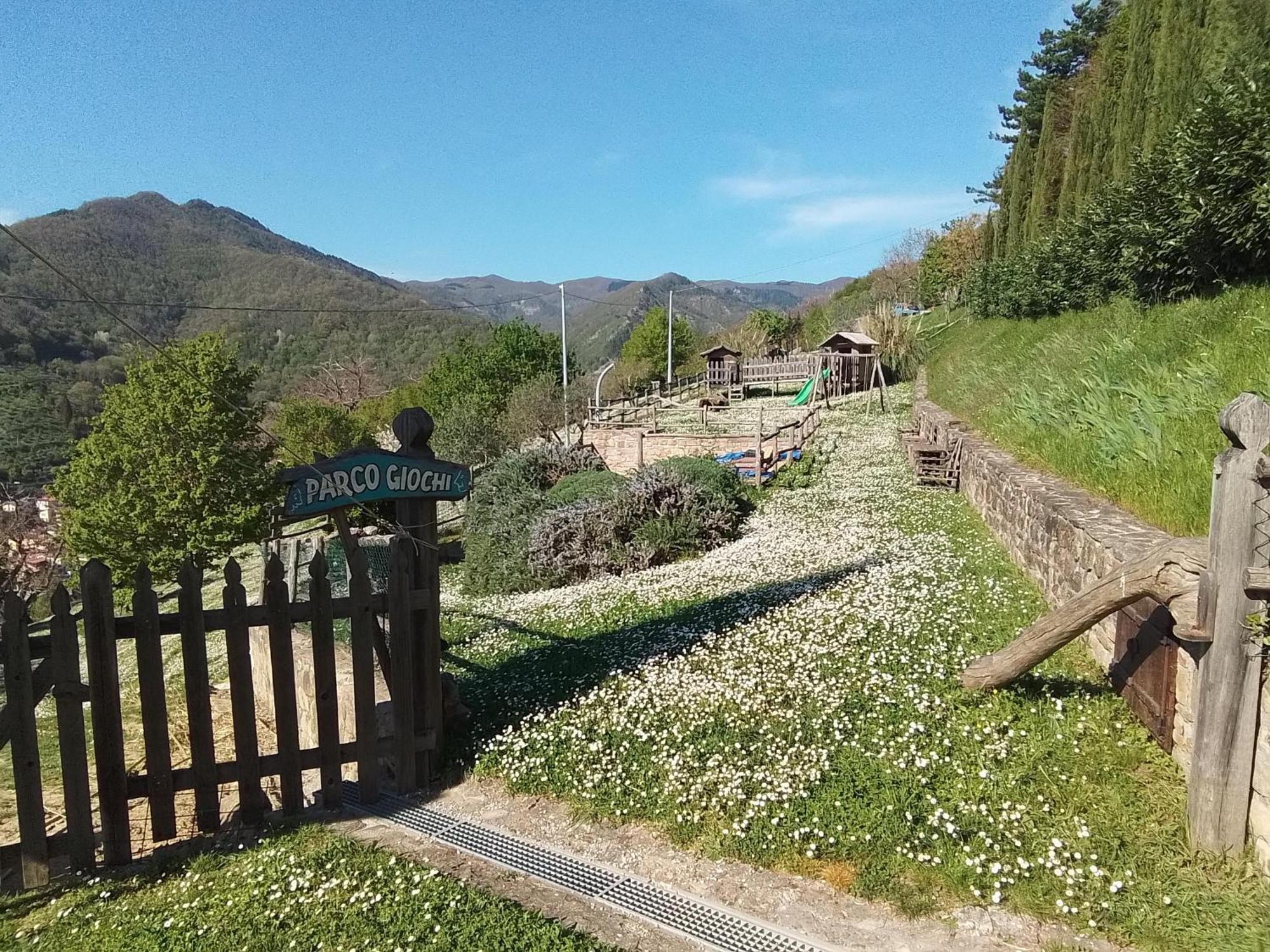 Casa Vacanze Podere Ugolini Ronta Екстер'єр фото