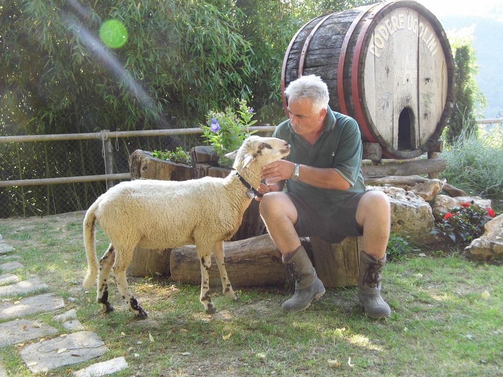 Casa Vacanze Podere Ugolini Ronta Екстер'єр фото