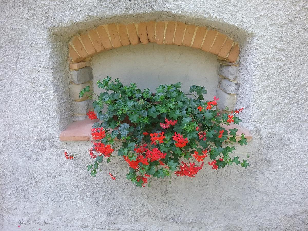 Casa Vacanze Podere Ugolini Ronta Екстер'єр фото
