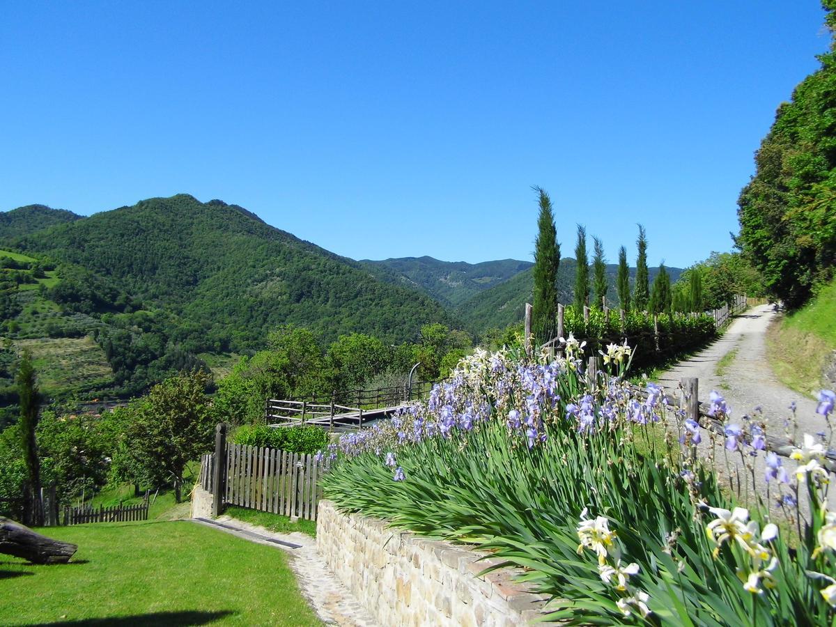 Casa Vacanze Podere Ugolini Ronta Екстер'єр фото