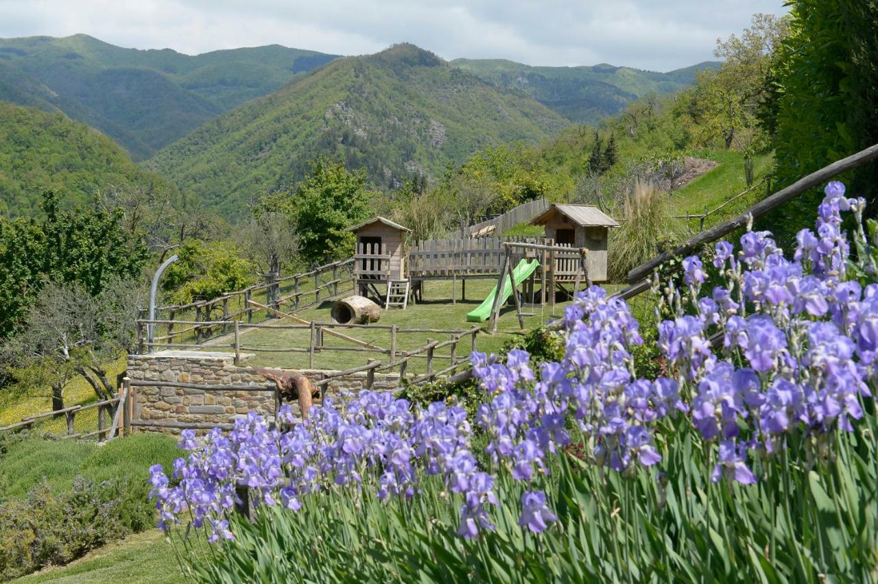 Casa Vacanze Podere Ugolini Ronta Екстер'єр фото